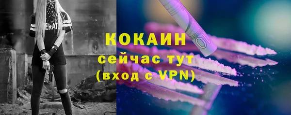 ПСИЛОЦИБИНОВЫЕ ГРИБЫ Горняк
