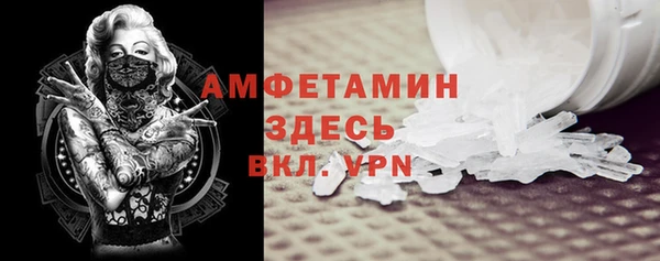 ПСИЛОЦИБИНОВЫЕ ГРИБЫ Горняк