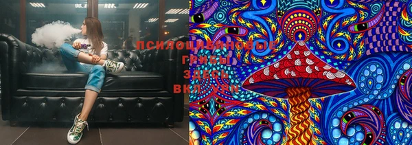 ПСИЛОЦИБИНОВЫЕ ГРИБЫ Горняк