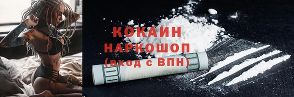 ПСИЛОЦИБИНОВЫЕ ГРИБЫ Горняк