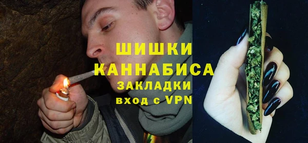 ПСИЛОЦИБИНОВЫЕ ГРИБЫ Горняк
