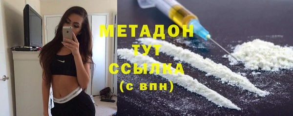 ПСИЛОЦИБИНОВЫЕ ГРИБЫ Горняк